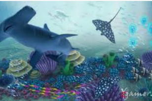 so米体育-在线观看nba直播|足球|篮球cba比赛高清视频2024最新版